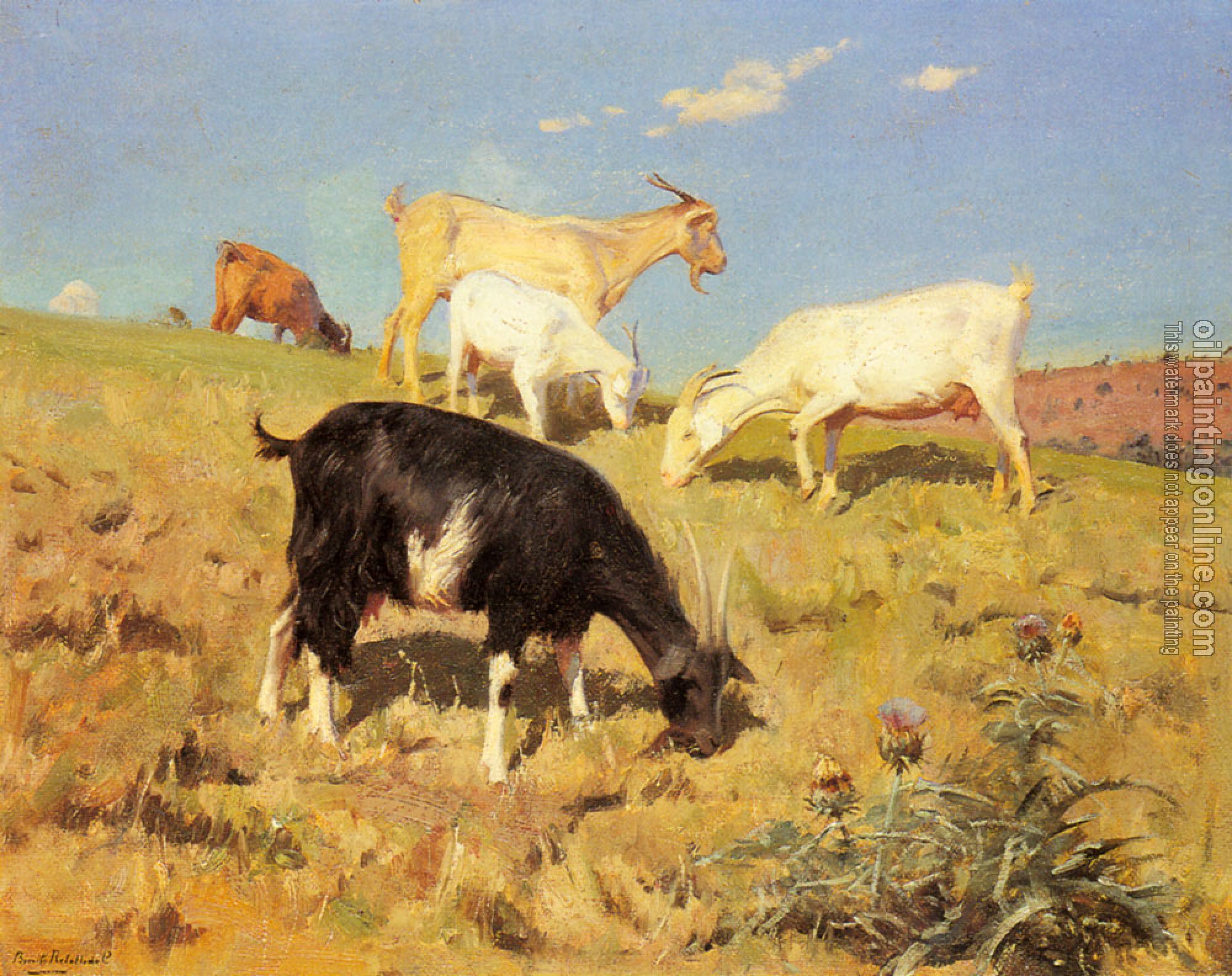 Benito Rebolledo Correa - Goats Grazing On A Hillside
